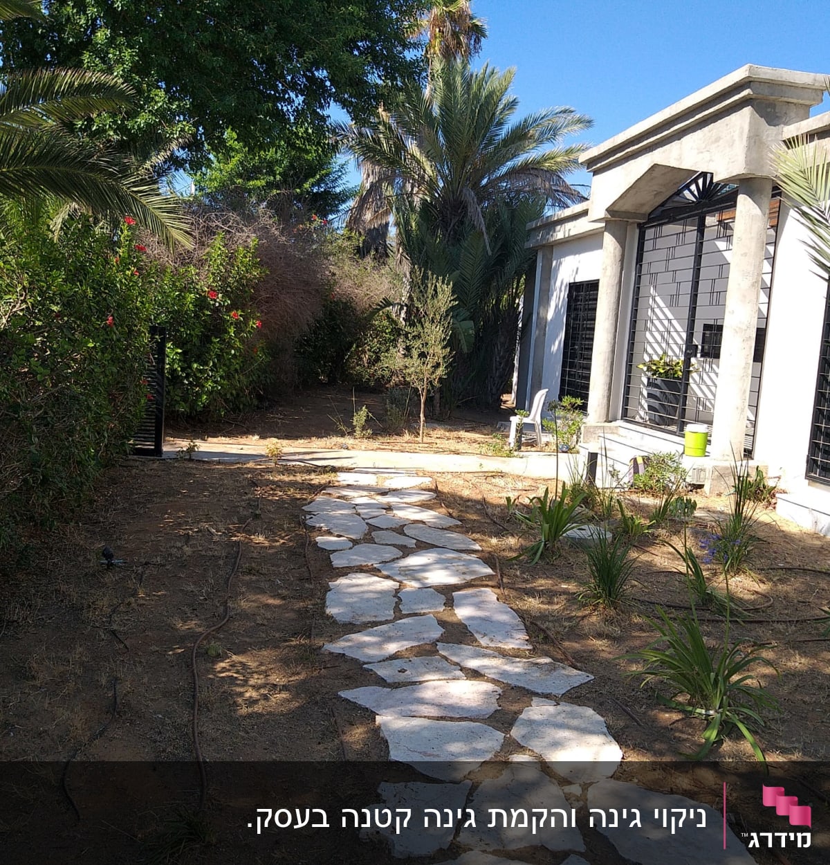 שביל אבנים בגינה עם צמחים ועצים מסביב